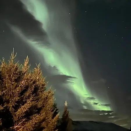 Aurora Nygard * Sletta (Troms)