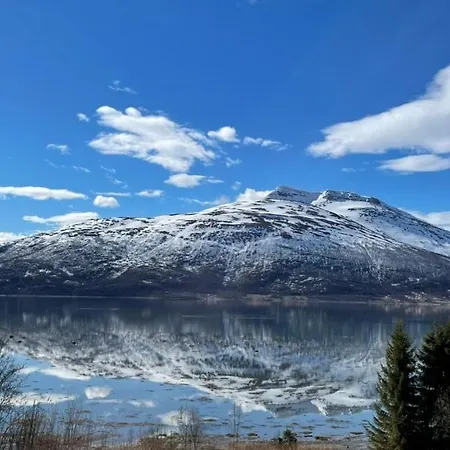 Apartman Aurora Nygard