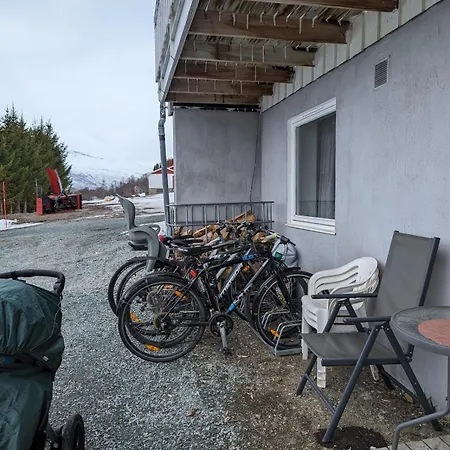 Aurora Nygard Apartman *