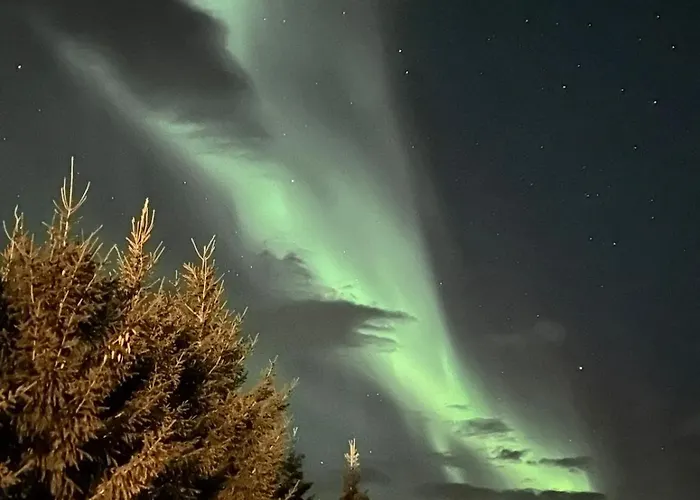 Aurora Nygard * Sletta (Troms)